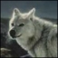 Benutzeravatar