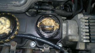 corsa.jpg