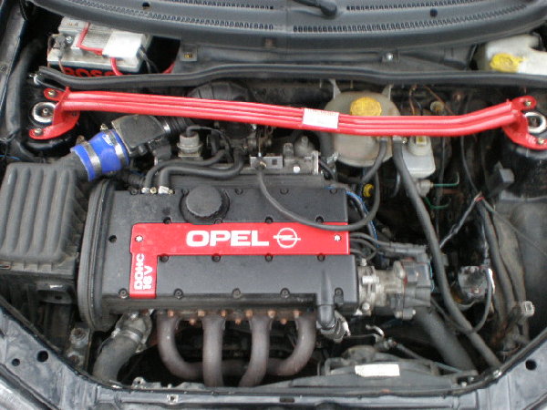 P3160041.JPG