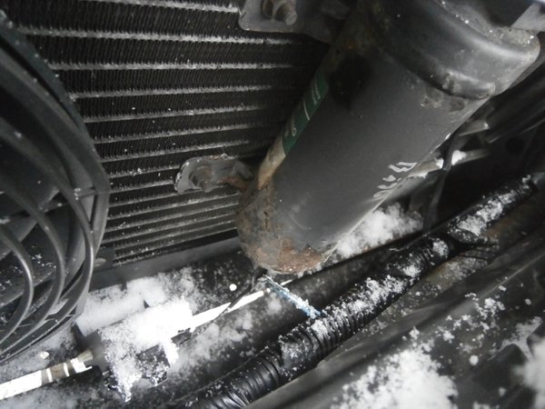 unbekanntes Dings am Kühlergrill