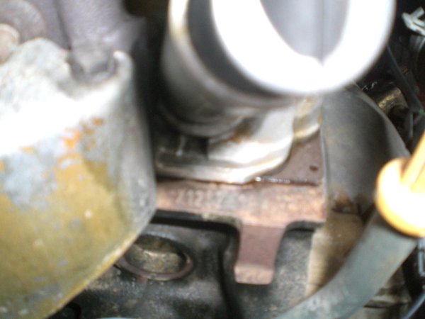 ungarn2010 2006.jpg