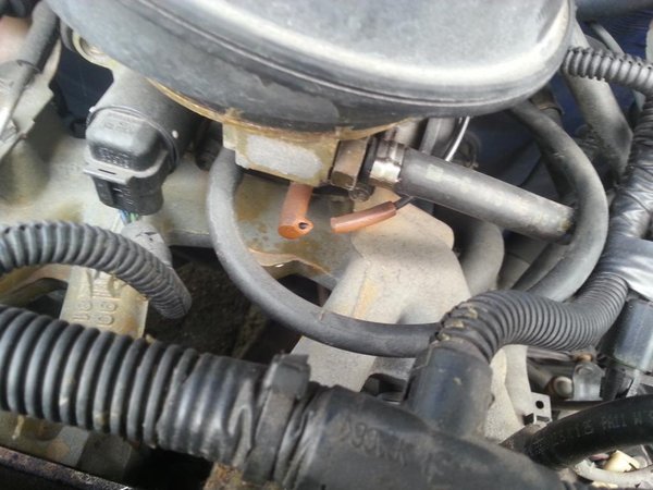 Corsa1.JPG