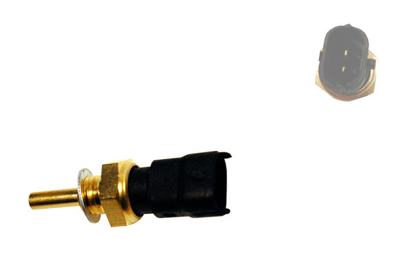 thermosensor.jpg