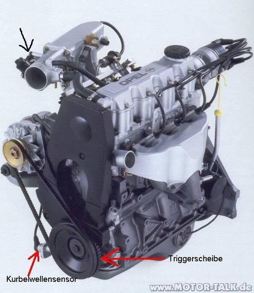 c14se-44922.jpg