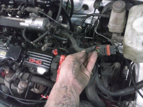 CAM00348.jpg