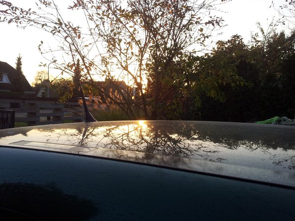 20141101_160652.jpg