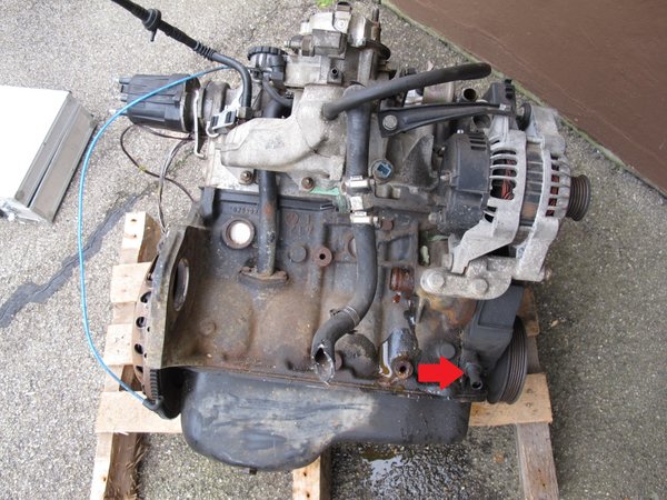 c16nz-basis-1426451715920885162.jpg