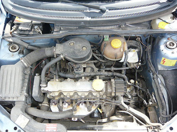 P1060574_.jpg
