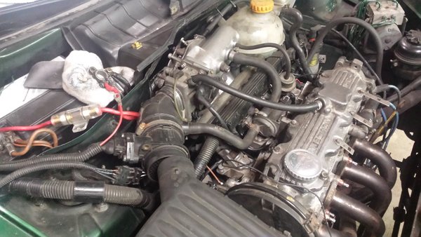 20160328_235209.jpg