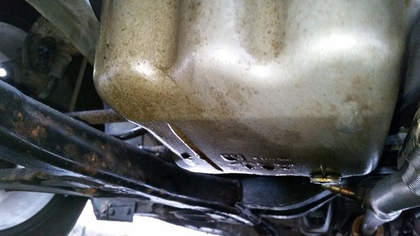 20160416_075314.jpg