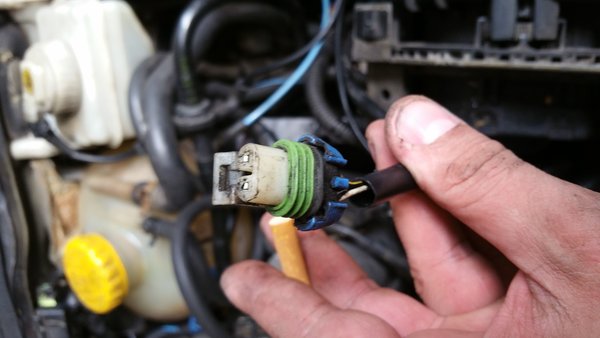 Stecker