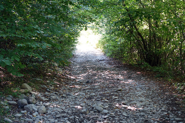 Sehr steil und mit vielen dicken Steinen. Das ging nur zentimeterweise und weit vorausschauend, da sonst Ölwanne &amp; Co. das nicht überlebt hätten. Ich bin auch nicht ganz bis zur Burg hoch gekommen. 400m vorher war der Weg dann doch wieder zu steil und schlecht.