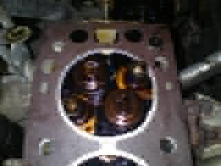 DSC00090.jpg