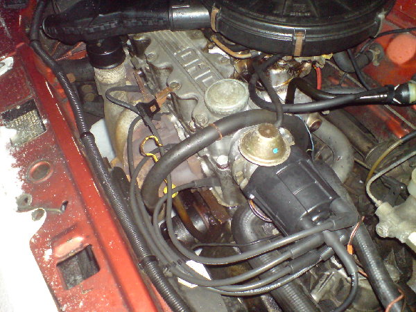 DSC01750.JPG