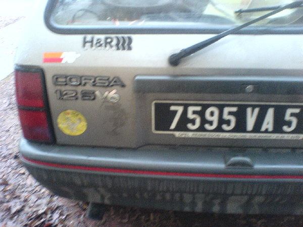 DSC01499.JPG