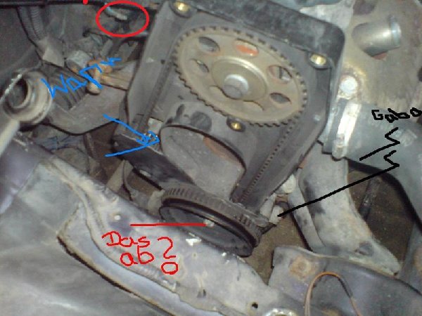 dsc00908yt8.jpg