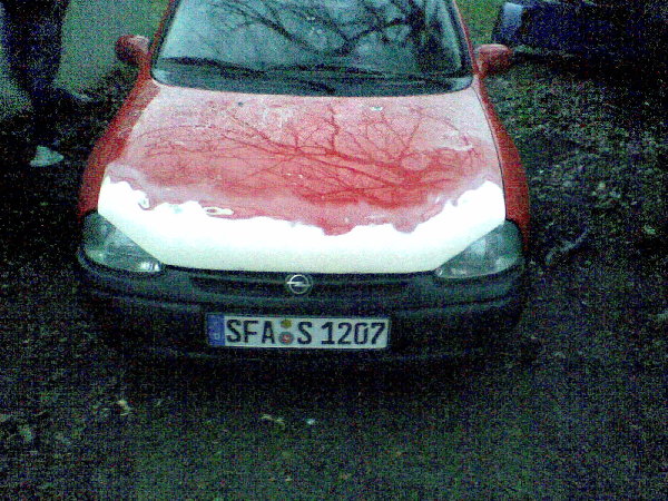 Bild074.jpg