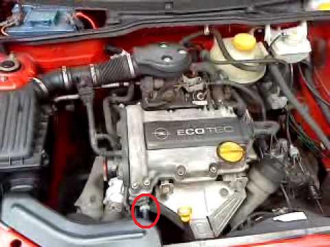 motor.jpg