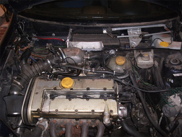 DSCF1390.jpg