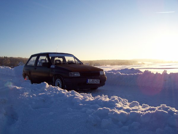 bis jetzt trotzt er der Kälte und dem Schnee