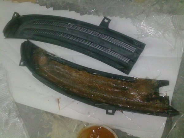 240320111905.jpg