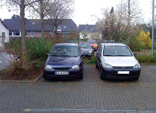 Sehen gut aus