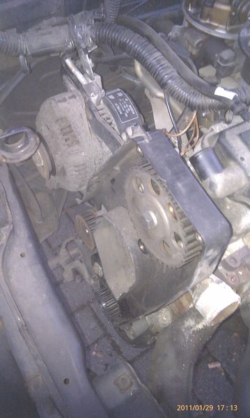 IMAG0317.jpg