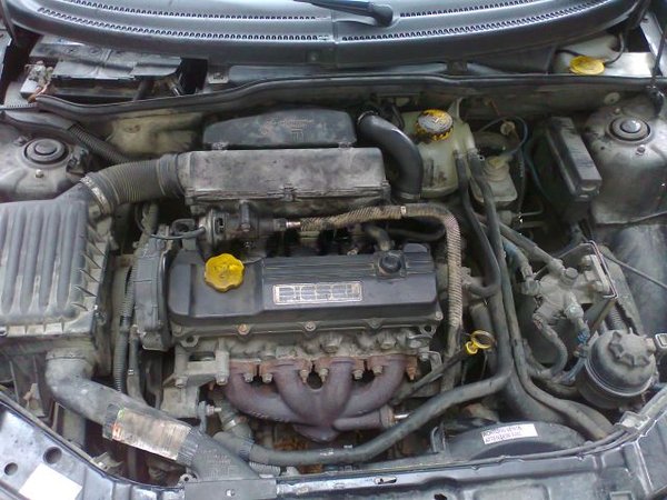 Corsa1.jpg