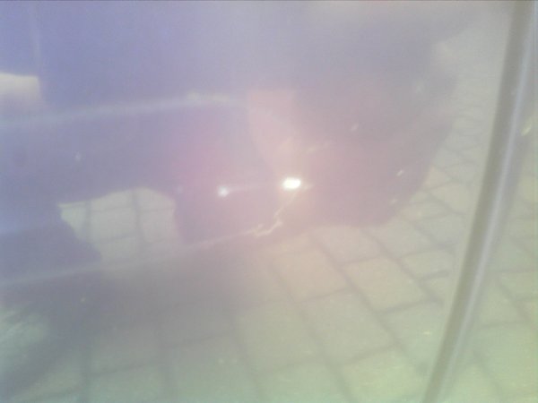 IMG_20110714_121836.jpg