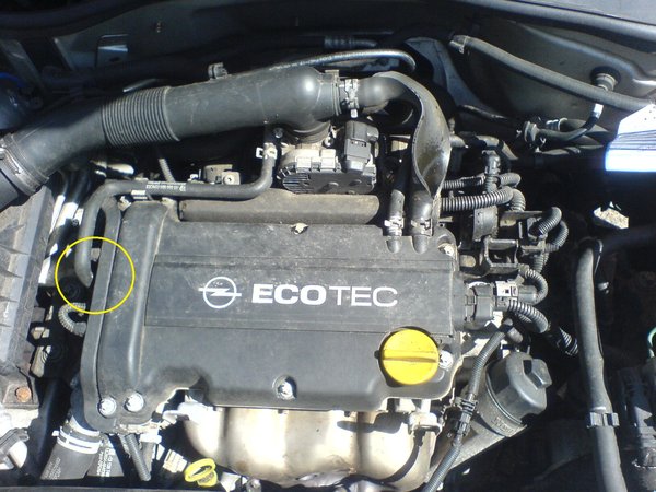 corsa.JPG