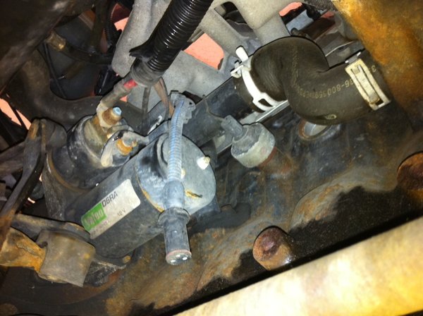 Der Stecker der ein zuhause sucht