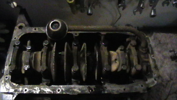 S1030009.JPG