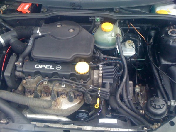 Foto9.JPG